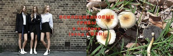 спиды Медвежьегорск