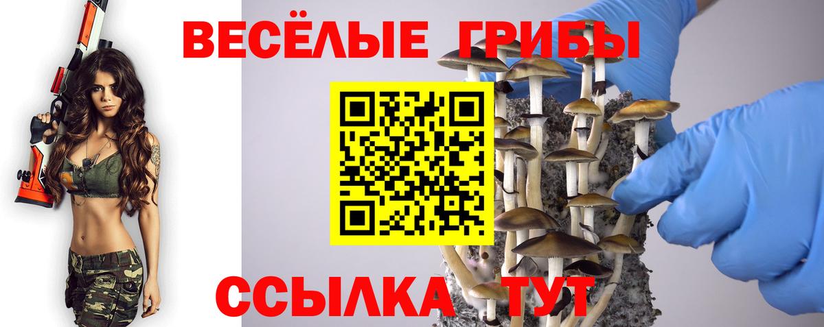 Псилоцибиновые грибы мицелий  Дзержинский  Галлюциногенные грибы Psilocybine cubensis 