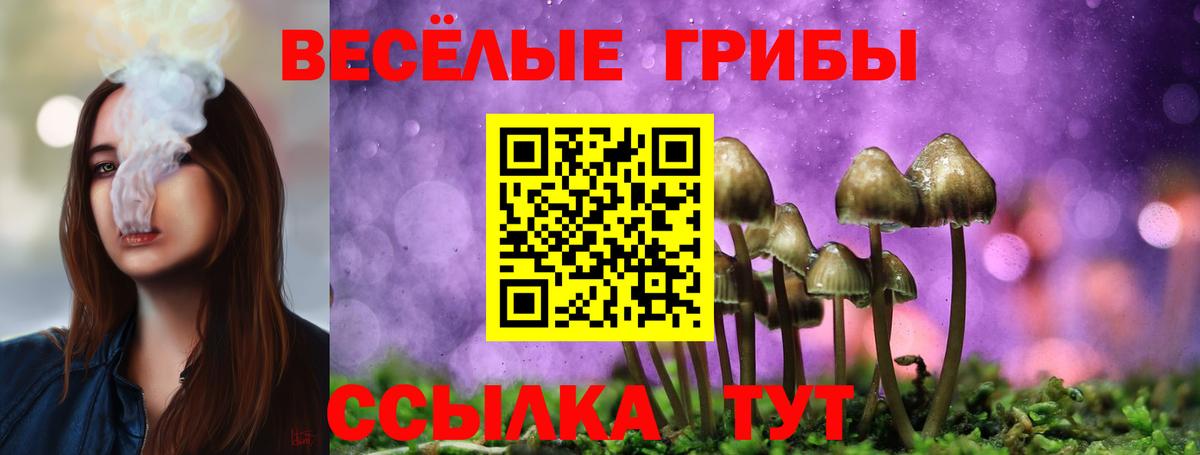 Галлюциногенные грибы MAGIC MUSHROOMS Дзержинский
