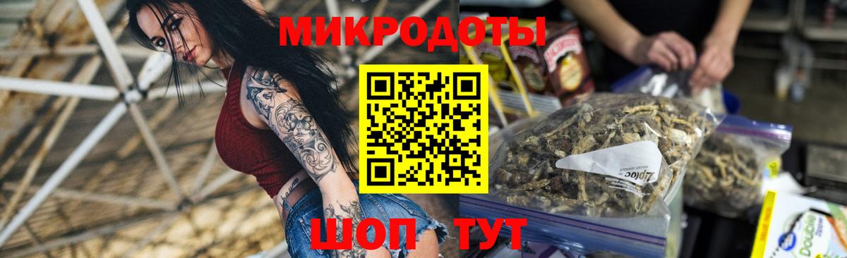 Галлюциногенные грибы Psilocybine cubensis Дзержинский